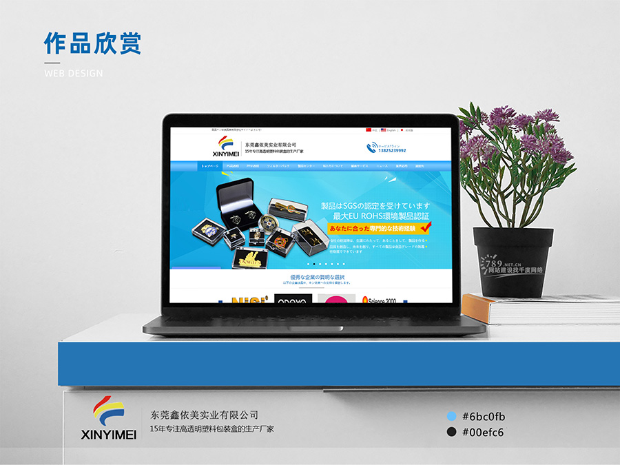 東莞網(wǎng)站建設(shè)案例